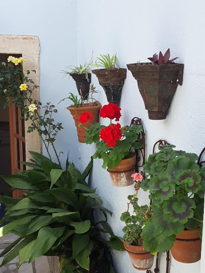 Rua Das Rosas 22/B&B Figueira da Foz Ngoại thất bức ảnh